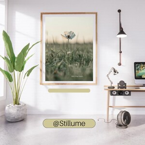 May include: A framed wall art print featuring a single white poppy flower in a grassy field at dawn, with the text "Quiet things matter..." printed at the bottom. The artwork is displayed in a light wood frame on a white wall above a desk.