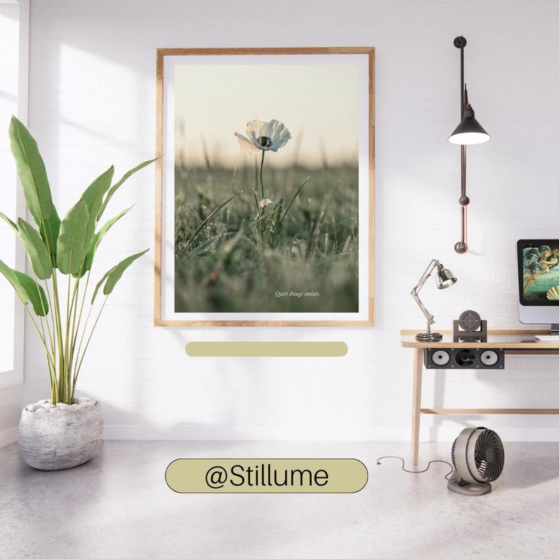May include: A framed wall art print featuring a single white poppy flower in a grassy field at dawn, with the text "Quiet things matter..." printed at the bottom. The artwork is displayed in a light wood frame on a white wall above a desk.
