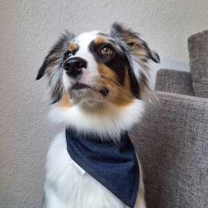 Classic Midnight Blue - Dog Bandana
