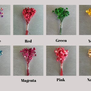 May include: Eight small bouquets of dried baby's breath flowers arranged in two rows. The colours include purple, red, green, yellow, blue, magenta, pink, and natural. Each bouquet is labelled with its corresponding colour name in black text below.