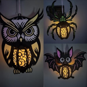 May include: Three Halloween decorations: an owl, a spider, and a bat. Each is black with cut-out designs that reveal a warm, glowing light. The owl has yellow and white accents, the spider has green accents, and the bat has pink accents.