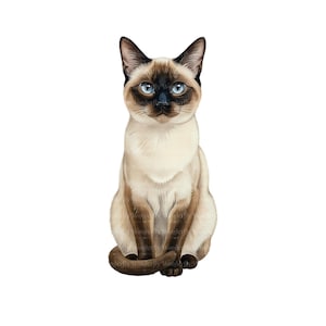 10 akvarell siamesiska katt clipart: Illustrationer PNG (digital nedladdning)