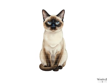 10 cliparts aquarelle chat siamois : illustrations PNG (téléchargement numérique)