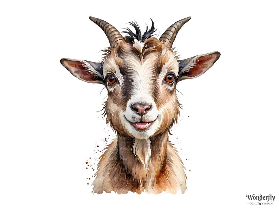 13 Watercolor Pygmy Goat Clipart: Illustrations Pngs (digital Download ...