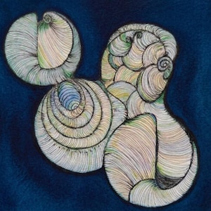 May include: An abstract drawing featuring interconnected, swirling circular shapes with fine, multi-colored line work in shades of green, blue, and tan. The forms are layered against a solid, deep navy blue background, creating a textured, organic appearance.
