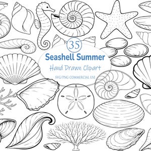 May include: Black and white hand-drawn clipart featuring various seashells, a seahorse, and a starfish. The text "Seashell Summer Hand Drawn Clipart" is included. Perfect for summer-themed crafts and designs.