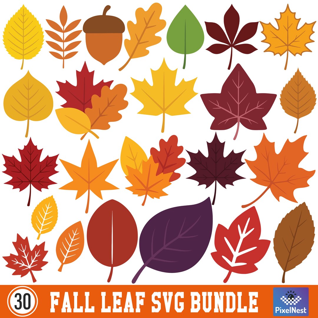 Fall Leaf SVG Bundle, Autumn Leaves Clipart Bundle, Fall Leaf Cricut ...