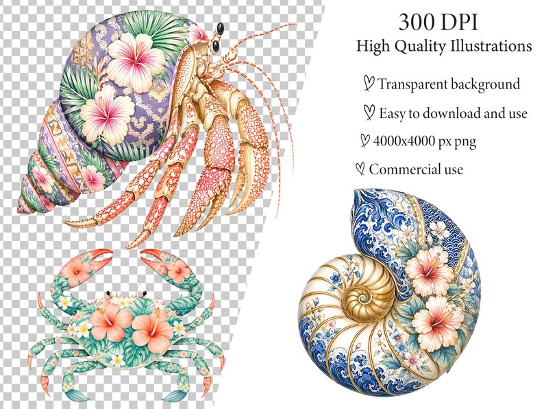 Chinoiserie Floral Shellfish PNG Bundle, Coastal Seashell Crab Lobster ...