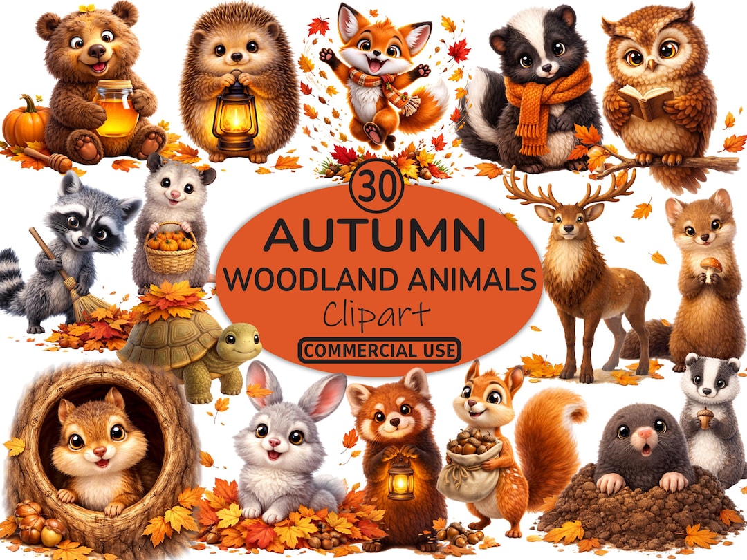 Autumn Woodland Animals Png Bundle, Cute Fall Animal Clipart ...
