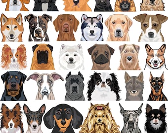 Dog Breed Clipart Bundle, 50+ Dog Faces PNG, Pet Portrait Clipart for Sublimation, Stickers, T-Shirts Gifts, Dogs SVG Bundle,Puppy Portraits
