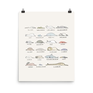 Peut inclure: Une illustration colorée de différents animaux allongés, chacun avec une légende décrivant sa pose. Les animaux comprennent un ours polaire, une narval, un raton laveur, une licorne, un sanglier, un phoque, un lion, un chat, un requin, un toucan, un cerf, une girafe et un pingouin. Le texte "Lie on Floor" est présenté en évidence en haut de l'illustration.