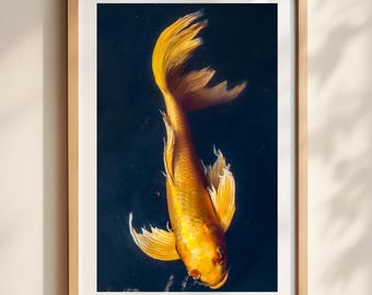 Koi Fish Wall Art, Tokyo Imperial Palace Photography Print