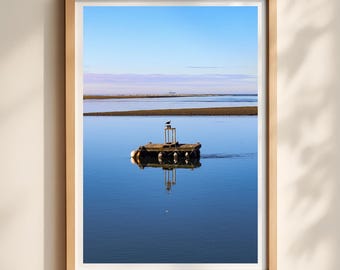 Seagull Reflection Coastal Wall Art, Minimalist Bird Photography Print