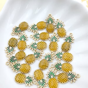 Sunnyclue 1 Boîte De 40 Pièces 10 Styles De Breloques En émail Pour