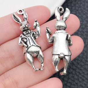 【AND A ASH】Parts Bunny Silver 1179-2_1200x1200.jpg?v=1552671077