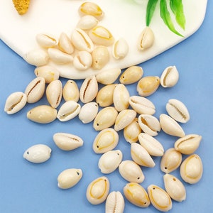 30g Natural Seashells/Craft Seashells, Shells For Art, Bulk Seashells, Bulk Shells For DIY handicraft making