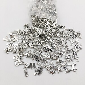 RUBYCA 50 Piece Mixed Silver Charms Set - Antiqued Finish For Jewelry Making