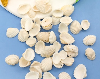 50pcs conchas marinas naturales / conchas marinas artesanales, conchas para el arte, conchas marinas a granel, conchas a granel para la fabricación de artesanías de bricolaje