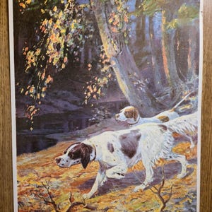 May include: A rectangular print featuring a painting of two white and brown spotted hunting dogs walking through a forest with autumn foliage. The word STEADY is printed in small letters near the bottom center, and the word STICK is in the corner.
