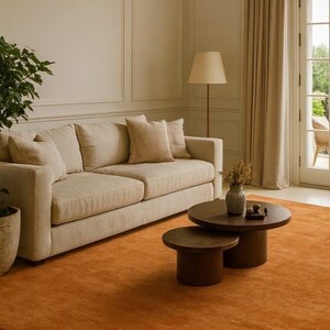 Puede incluir: Un sal&oacute;n con un sof&aacute; beige, cojines y una mesa de centro redonda. Una alfombra naranja vibrante cubre el suelo. Tambi&eacute;n hay una l&aacute;mpara de pie y una planta en maceta. La habitaci&oacute;n tiene una paleta de colores neutros.