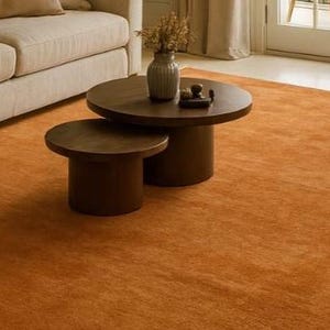 Puede incluir: Una escena de sal&oacute;n con una alfombra de color naranja. Dos mesas de centro redondas de color marr&oacute;n oscuro de diferentes tama&ntilde;os est&aacute;n centradas en la alfombra. Un sof&aacute; beige es parcialmente visible a la izquierda, y un jarr&oacute;n con flores secas.