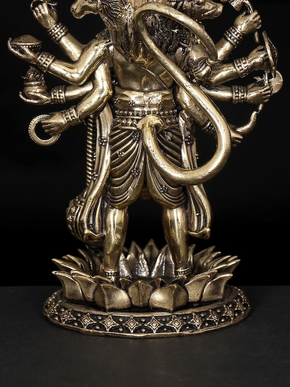 P.Hanuman OC株 5