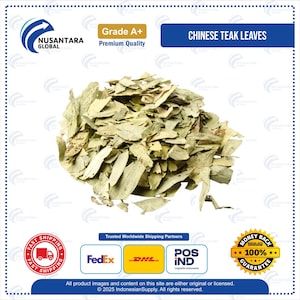 Chinese Teak Leaves, Premium Herbal Tea Leaves, Natural Dried Leaves for Tea, Wellness Infusions, Traditional Herbal Recipes