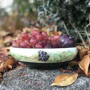 20&#39;s Czech Porcelain Hand Painted Bowl