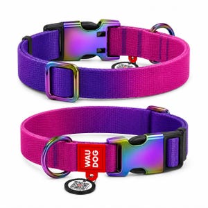 Recycled Nylon Dog Collar with QR Passport – Gradient Design