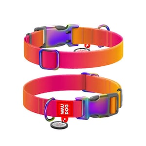 Recycled Nylon Dog Collar with QR Passport – Gradient Design