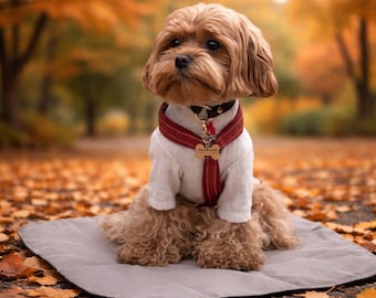 Soft Knit Dog Sweater Archie, Easy Pullover, Unisex Dog Outfit