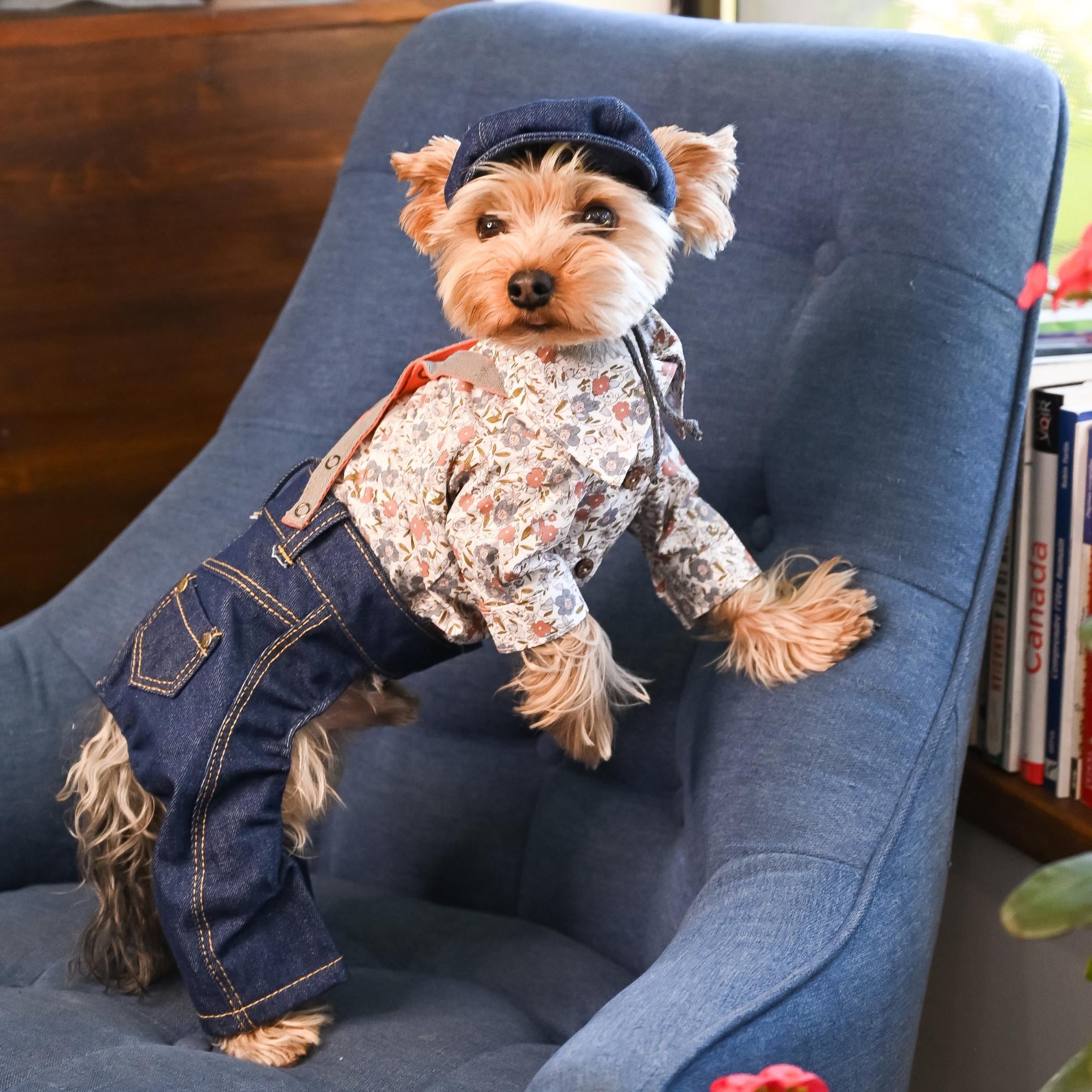 Denim Dog Outfit: Jeans and Cap Set for Small Dogs, Designer Pet Clothing