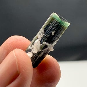May include: A close-up of a tourmaline crystal held between fingers. The crystal is a dark green color with black and white inclusions. The top of the crystal is a lighter green color.