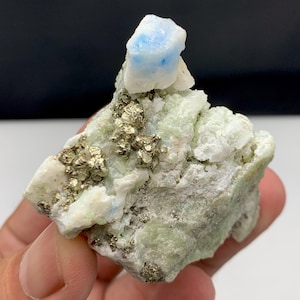 Puede incluir: Primer plano de un espécimen mineral con una roca base verde claro y blanca con pequeños cristales de pirita dorados y brillantes. Una formación de cristal azul claro y blanco se encuentra encima.