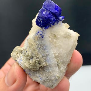 Puede incluir: Un vibrante grupo de cristales de lapislázuli azul sobre una matriz blanca y gris. El color azul intenso del lapislázuli contrasta con los tonos más claros de la roca circundante, creando un espécimen mineral visualmente impactante.