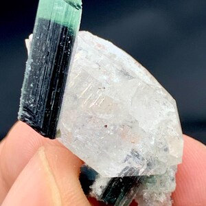 May include: A raw mineral specimen featuring a vertical, elongated tourmaline crystal with a deep black base transitioning into a translucent green tip, attached to a clear, multifaceted quartz cluster with visible internal fractures.