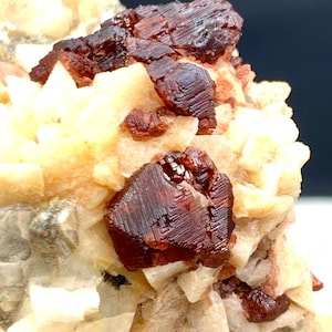 Könnte beinhalten: Nahaufnahme einer Mineralprobe mit dunkelroten, kristallinen Strukturen. Die Kristalle sind auf einer Matrix aus cremefarbenen und beigefarbenen Formationen angeordnet, was ein strukturiertes und optisch ansprechendes Bild ergibt. Das Mineral scheint ein Granat zu sein.