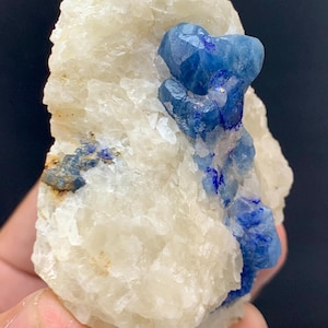 Puede incluir: Un espécimen mineral natural con una matriz blanco crema y llamativas formaciones cristalinas azules. Los cristales azules tienen una forma irregular y un color vibrante, creando un atractivo contraste visual sobre el fondo blanco.