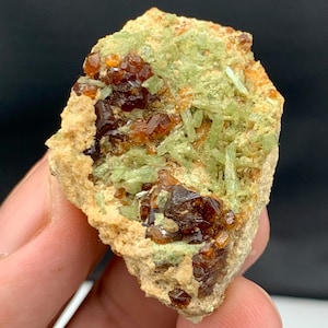 Puede incluir: Primer plano de un espécimen mineral con una matriz marrón claro, grupos de cristales de color marrón rojizo oscuro y formaciones verde claro en forma de aguja. El espécimen se sostiene en una mano sobre un fondo oscuro.