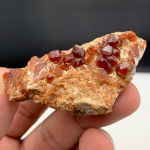 Puede incluir: Un espécimen de granate en bruto. Los cristales de color marrón rojizo están agrupados sobre una matriz rugosa de color beige. Los cristales tienen una apariencia facetada. El mineral se sostiene en una mano, con un fondo en blanco y negro.