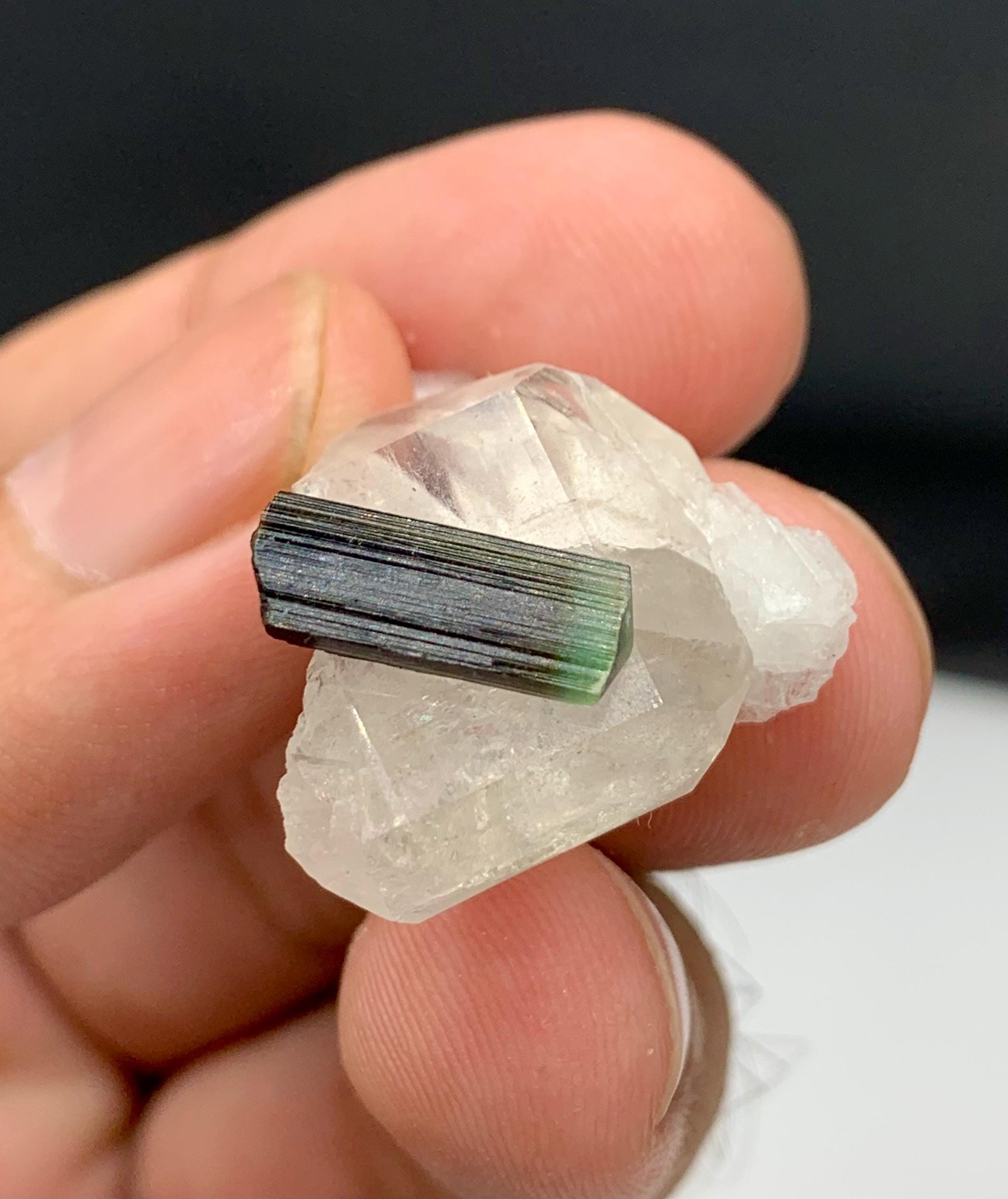 トルマリン バイカラー グリーン キャップ トルマリン ジェミー