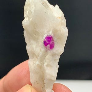 May include: A raw, natural mineral specimen featuring a vibrant, fuchsia-colored ruby crystal embedded in a matrix of white, opaque stone. The rough-hewn shape and contrasting colors highlight the natural beauty of the gemstone. The mineral is held in a hand.