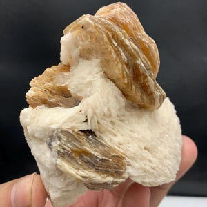 Puede incluir: Espécimen mineral natural con una combinación de colores y texturas. La pieza presenta una formación en capas de color beige sobre una base de estructuras cristalinas blancas. Se aprecian acentos marrones y beige.