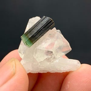 Może przedstawiać: Zbliżenie okazu mineralnego z ciemnozielonym i czarnym kryształem turmalinu na przezroczystej formacji kwarcu. Turmalin ma wyraźną strukturę kolumnową, a kwarc jest półprzezroczysty.