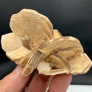 Puede incluir: Una formación cristalina de yeso en forma de rosa del desierto. El espécimen presenta estructuras en capas, en forma de pétalos, en tonos beige y marrón, con un aspecto cristalino. El grupo mineral se sostiene en una mano sobre un fondo oscuro.