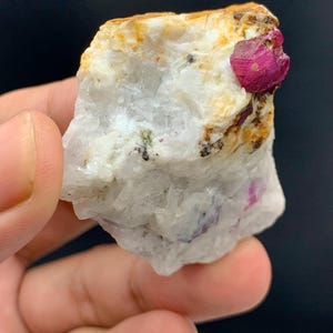 Puede incluir: Un espécimen mineral natural en bruto con un vibrante cristal de rubí rojo intenso incrustado en una matriz de roca blanca y marrón. El rubí se muestra de forma prominente, mostrando su estructura cristalina.