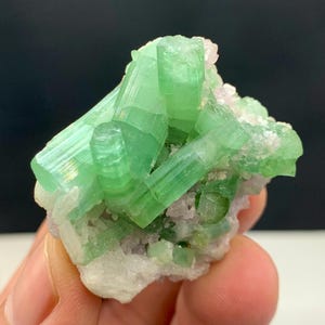 May include: A cluster of vivid green tourmaline crystals, displaying a prismatic structure. The crystals are set against a backdrop of white and pale pink mineral matrix, creating a striking contrast. The specimen is held in a hand.