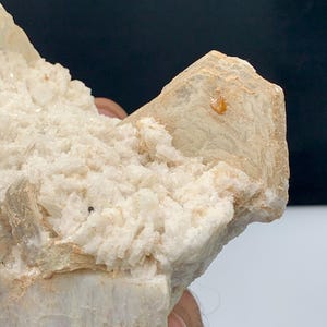 Puede incluir: Primer plano de un espécimen mineral natural. La pieza presenta una estructura cristalina en capas, de color blanquecino, con un pequeño cristal de color naranja-marrón. La textura es áspera y desigual, con algunas motas oscuras.