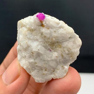 May include: A rough, white quartz specimen with a vibrant pink ruby crystal embedded at the top. The quartz has a textured surface with small flecks of other minerals. The ruby is a deep, saturated pink color.