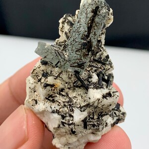 Może przedstawiać: Naturalny okaz minerału z jasno niebieską formacją kryształu akwamarynu z igłami czarnego turmalinu osadzonymi w białej matrycy. Minerał trzymany jest w dłoni.